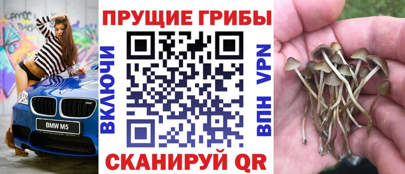 МЕГА рабочий сайт Ермолино Галлюциногенные грибы MAGIC MUSHROOMS продажа наркотиков